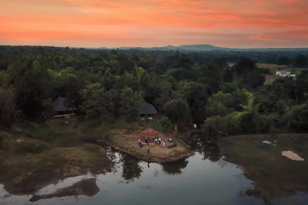 Safari by Day, Stars by Night: A Dreamy Stay at Pench Jungle Camp