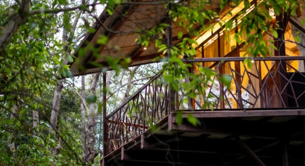 Sustainability at Jungle Camps