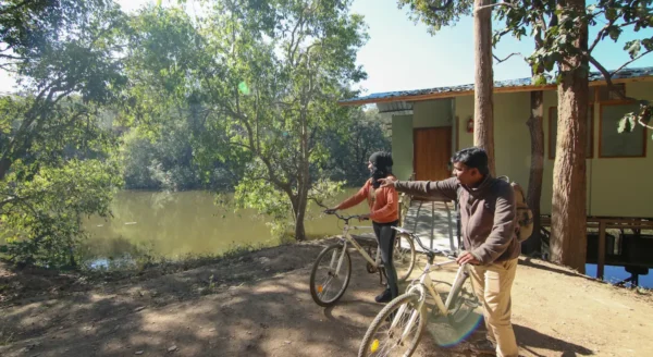 Unveiling the Unforgettable: Rukhad Jungle Camp