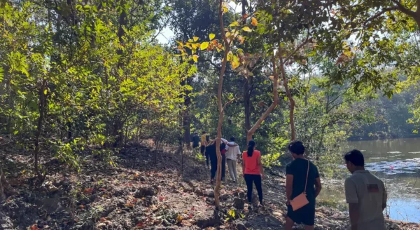 Exploring the Rich Wildlife of Rukhad Jungle