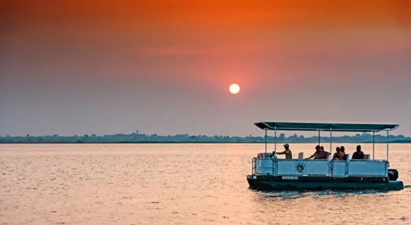 Embark on an Unforgettable Adventure at Tadoba Jungle Camp: A Safari Experience Like No Other
