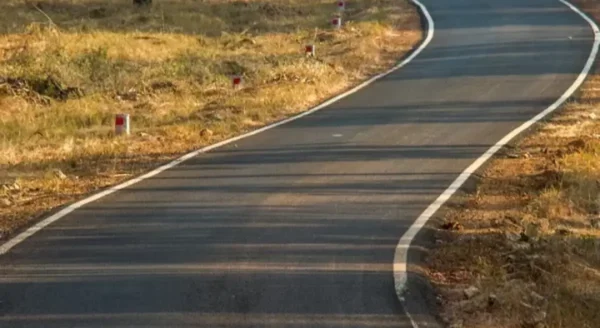 Tadoba in Winter: An Enchanting Season for Wildlife Enthusiasts