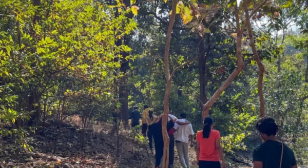 Exploring the Hidden Gem of Rukhad: A Wildlife Safari Adventure