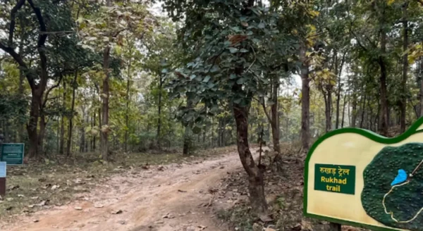 The Amazing Flora and Fauna of Rukhad Forest