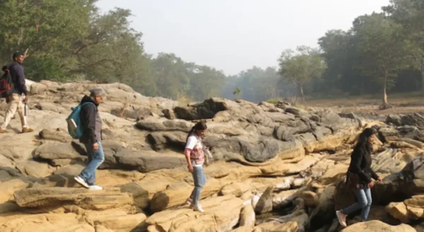 Kanha’s Green Trails: Unveiling the Ultimate Hiking and Trekking Adventures