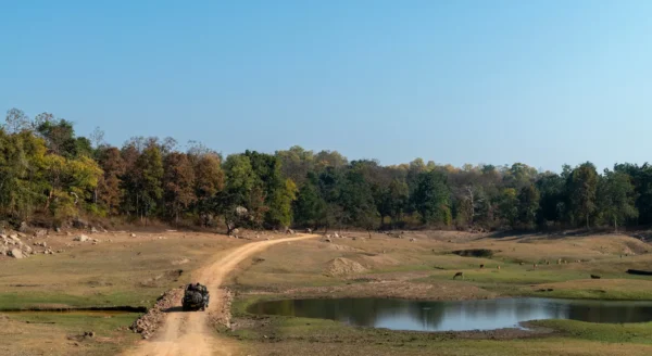 5 Offbeat Things To Do in Pench