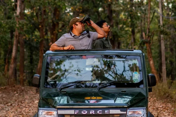 Beyond the Jungle: Kanha Jungle Camp’s Perfect Blend of Relaxation, Adventure, and Wildlife