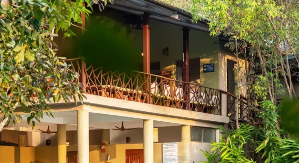 Into the Heart of the Jungle: Things to Do in a Resort in Kanha