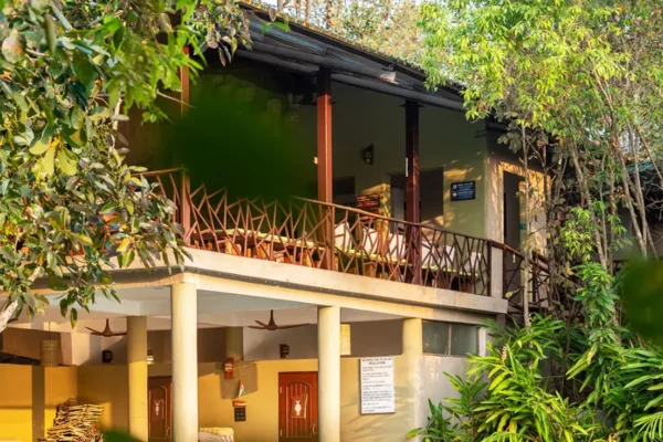 Into the Heart of the Jungle: Things to Do in a Resort in Kanha