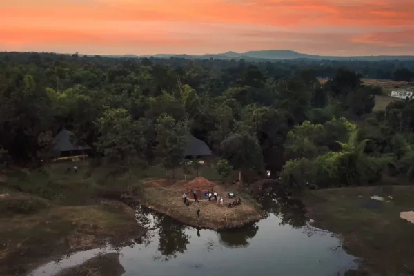 In the Realm of the Striped Phantom: In-Depth Guide to Pench National Park
