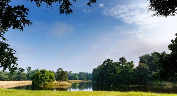 The Tadoba Jungle Camp Adventure: Unveil the Majesty of India’s Iconic Wildlife