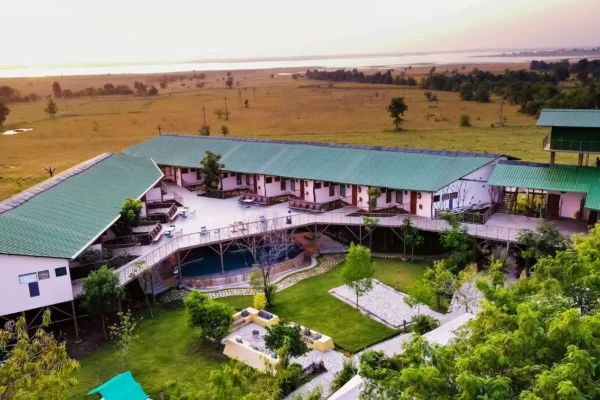 Tadoba Jungle Camp: Where Special Moments and Nature Come Together