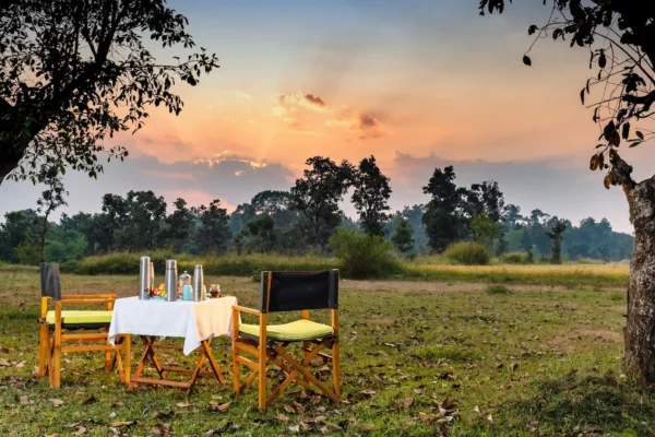 Reconnect with Nature: Why Kanha Jungle Camp is the Ideal Eco-Retreat