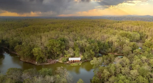 From Campfire Stories to Morning Walks: Discover the Authentic Jungle Experience at Rukhad Jungle Camp