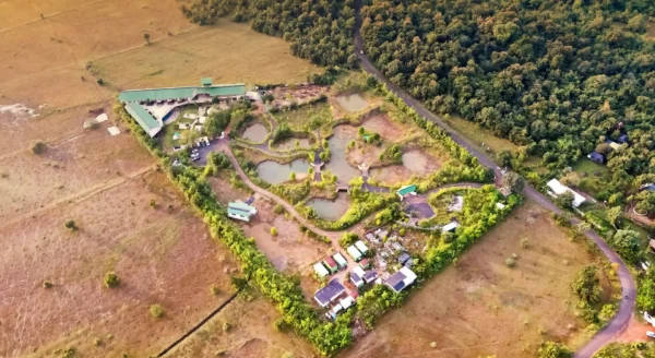 Plan Your Perfect Summer Wildlife Getaway at Tadoba Jungle Camp