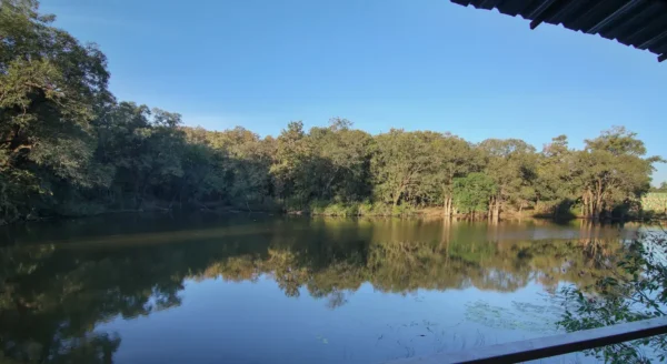 Digital Detox in the Wild: Reconnect with Nature at Rukhad Jungle Camp