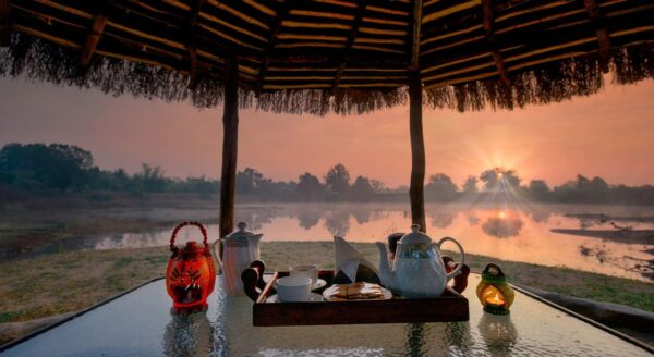 Luxury in the Lap of Nature: What to Expect from Your Stay at Pench Jungle Camp