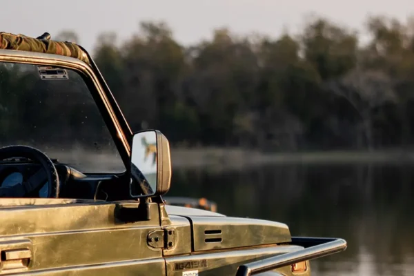 How to Make the Most of Your Rainy Season Safari at Pench Jungle Camp