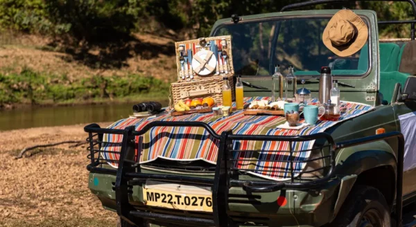 A Family Safari: Turning Every Jungle Moment into a Memory