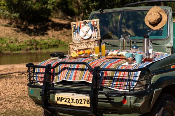 A Family Safari: Turning Every Jungle Moment into a Memory